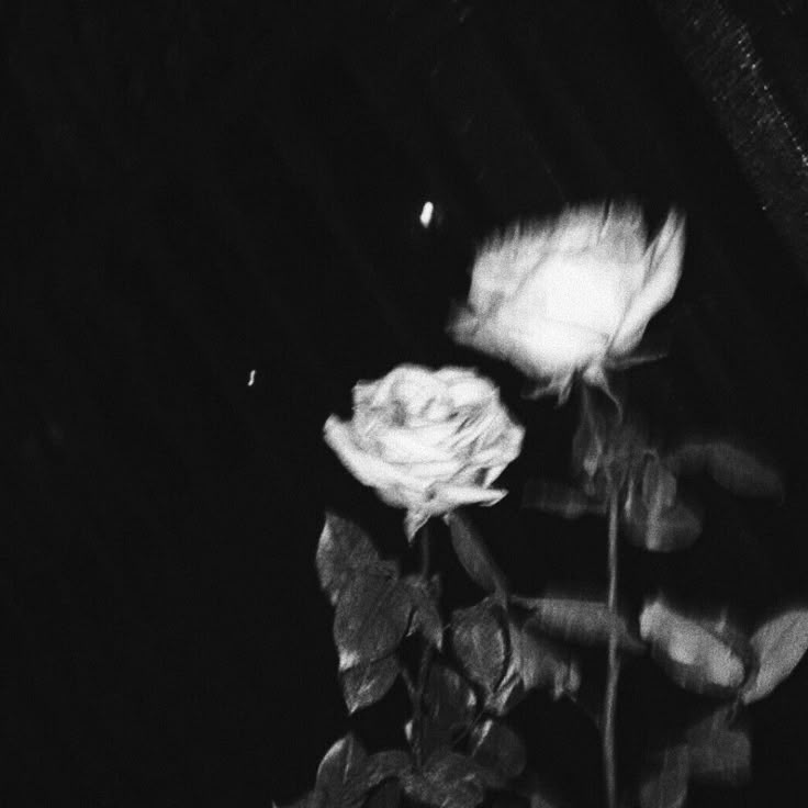 Cover art for SRT